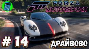 Forza Motorsport 🔴 [Стрим #14] пару гонок перед сном