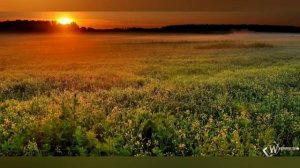 Музыка про природу