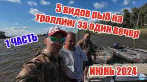 1 серия. Астрахань 2024. 5 видов рыб на троллинг. База Углянское