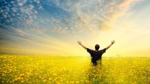 Что стоит за счастьем?