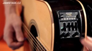 Takamine Pro Series P7D