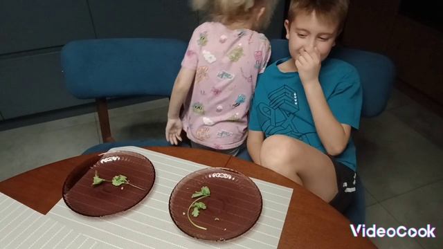 Лезни или съешь челлендж