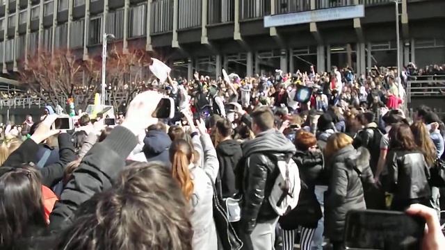 harlem shake@palazzo nuovo смотреть онлайн