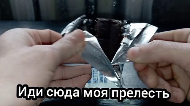 Сырок ! Год в теплой комнате . Что с ним стало ?