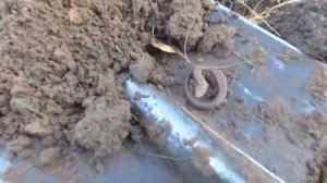 Жирный коп,наконец то повезло.