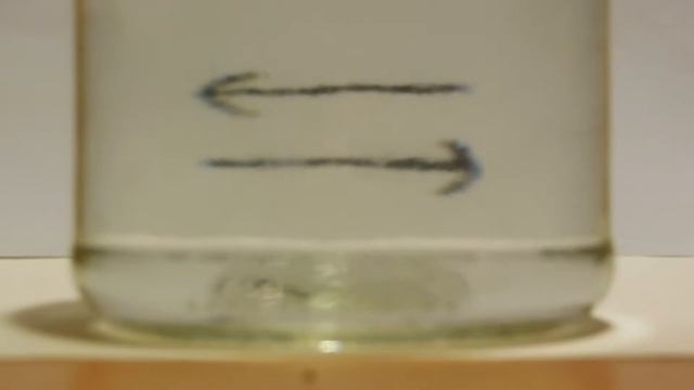 Опыт со стрелками в банке смотреть онлайн