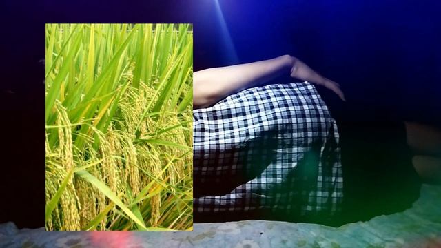 Eng yaxshi HD paypoq porno Gozal kokrak 18 jinsiy aloqa