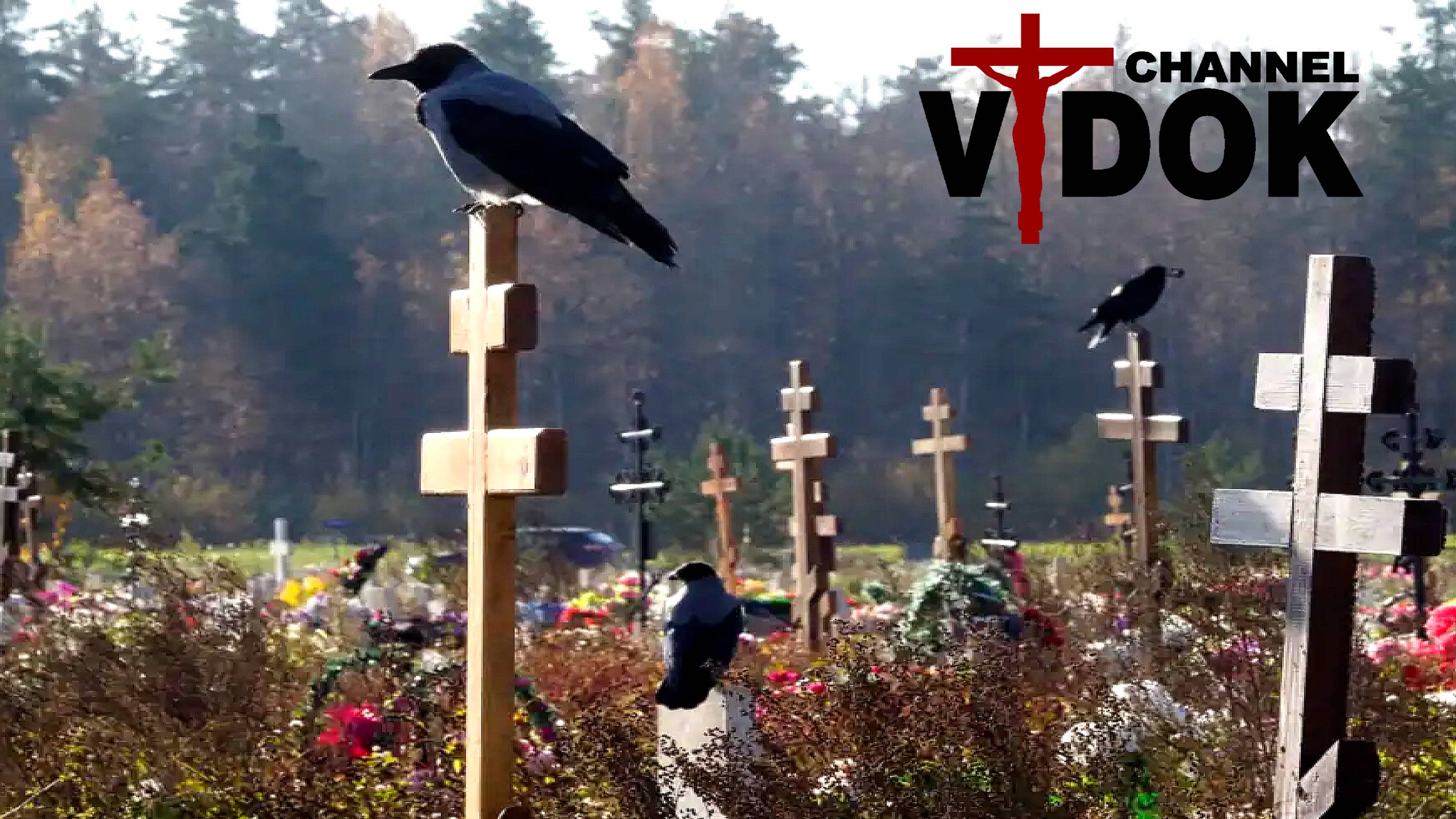 КЛАДБИЩЕ г.АСТАНА КАЗАХСТАН. ЧАС