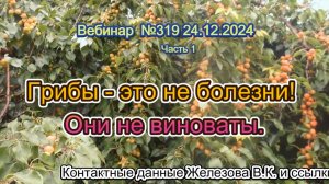 Железов Валерий. Вебинар 319. ч.1. Грибы - это не болезни! Они не виноваты.