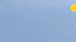 Мегопраждаюшие орфомление (Зима 2024/2025)