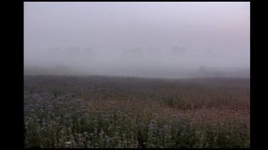 Философский видеоэтюд "Ангелы Божии"