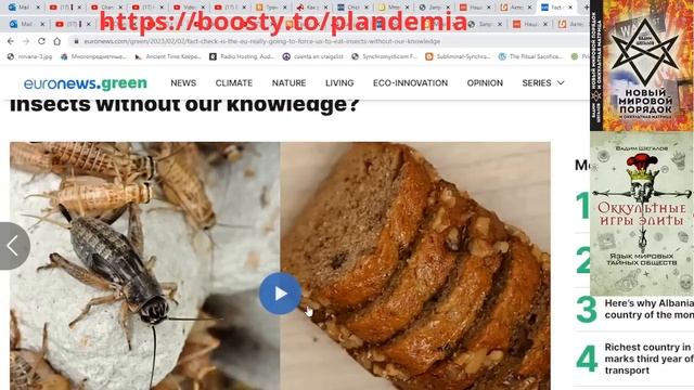 Вадим Ше Греция вводит частичный запрет на домашних животных Как обеспечат потребление насекомых смотреть онлайн