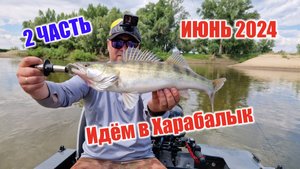 2 серия. Астрахань 2024. Поиски и ловля судака и не только