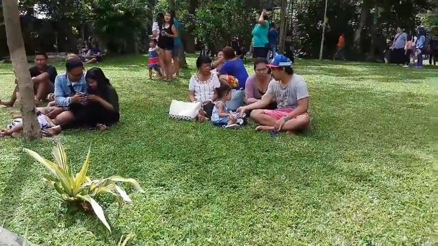 Bali Bird Park - Part I