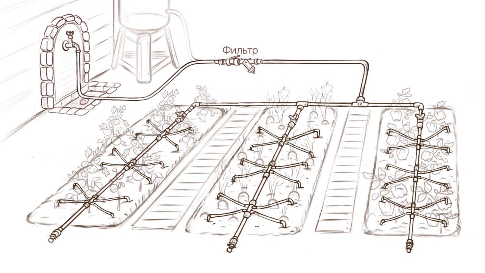 Новая система капельного полива смотреть онлайн