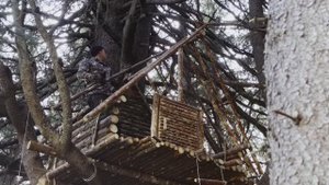 Как выжить в мороз: дом на дереве своими руками