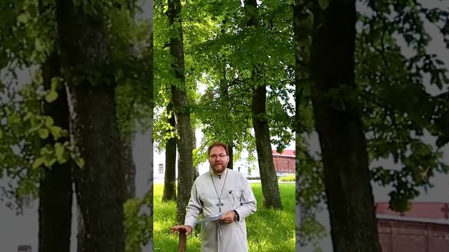 Старцы-отшельники шутят| № 8 #shorts смотреть онлайн