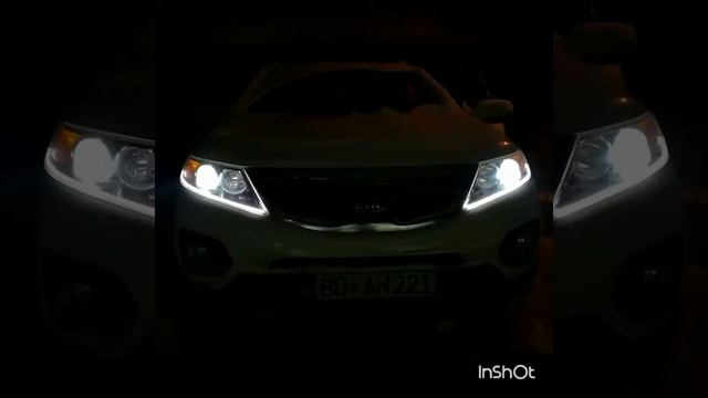 Xenon Carbon Garage Kia Spprtage Upgrade Led flexibile Daylight Morimoto H1 Led Beam