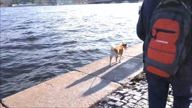 прогулка смотреть онлайн