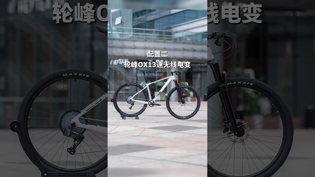 Карбоновый MTB велосипед Twitter M5