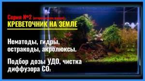 Серия 2. Фантастические ТВАРИ в Аквариуме. Стрижка Растений и Подбор Дозы УДО в Травнике