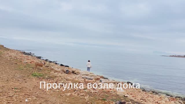Севастополь!Первые шаги по полуострову!Осмотр местности "у дома"!