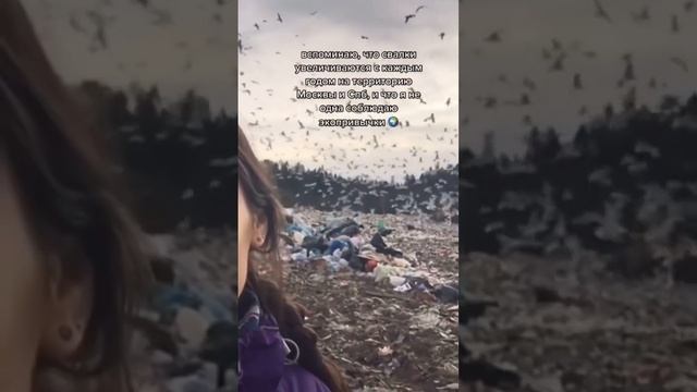 #экоблогер #экология #экологичныйбизнес #экологияделокаждого