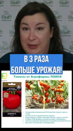 Как получить в 3 РАЗА БОЛЬШЕ урожая томатов?