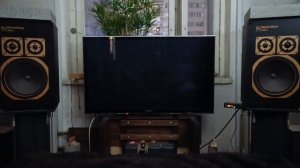 Electro Voice link 6