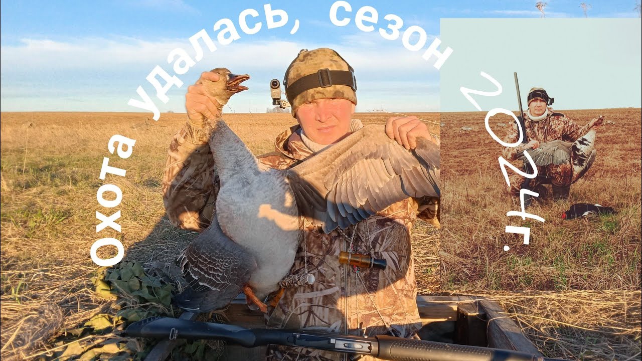 Охота на гуся в Марий Эл 2024г, посадил большую стаю к чучелам. смотреть онлайн