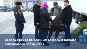 Во время рейда по ёлочным базарам в Тамбове оштрафовали нарушителя