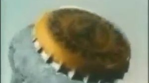 Реклама Schweppes_5.mp4