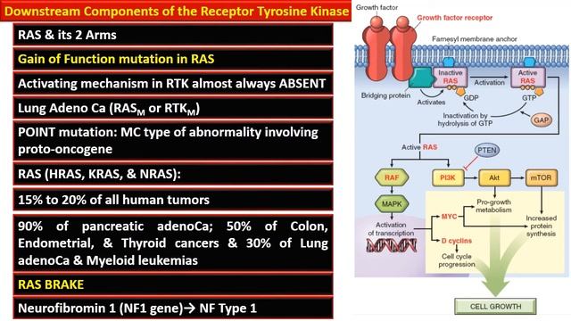 6 – Unregulated Cellular Proliferation смотреть онлайн