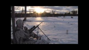 Манок на лисицю Nordik Crying Bird поранений птах