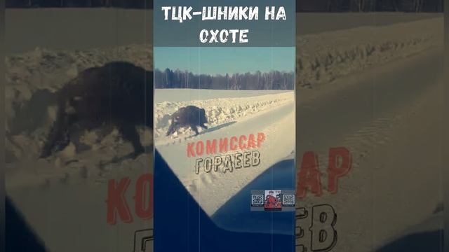 Где-то на просторах незалежной🐷