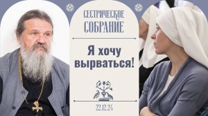 Не хочу быть пугалом! Сестрическое собрание с о. Андреем Лемешонком 22.12.2024