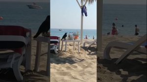 Дубай. Вот и лето прошло...