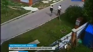 Отстрел собак в поселении "Вешки-2"
