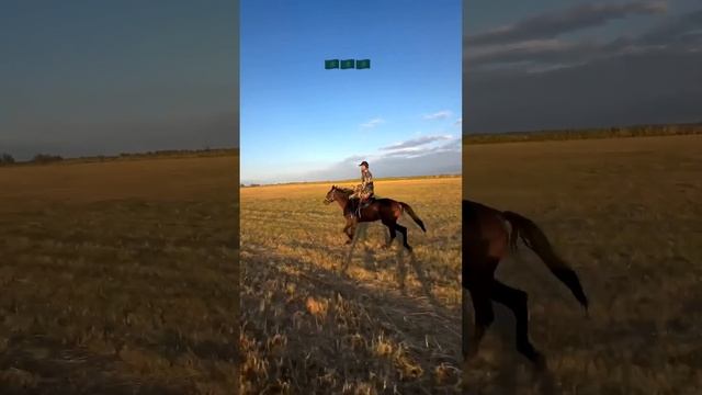 Видео by Кулаки #8908