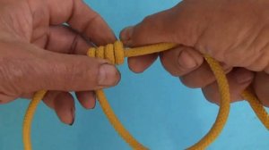 Новый узел   "Выпь Самарская"