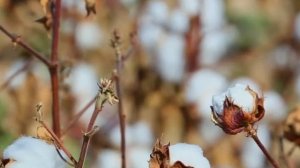 Табиғат және адамның шаруашылық қызметі