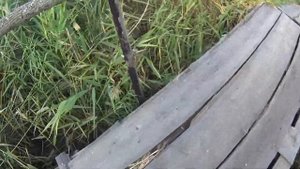 Как одна девочка ходила по мосту и