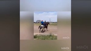 Көк бөрү - кок бору,  мыкты учурлар  (Ахиллес # Геркулес)