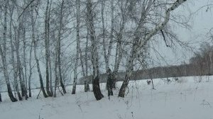 Закрытие сезона на косулю/#охотавсибири #охотанакосулю