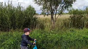 На дальней сойду, трава по пояс