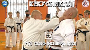 Кёкусинкай / Учебно-тренировочные сборы СЗФО / Сихан Танюшкин / Санкт-Петербург (ноябрь 2023) #3