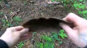 ЧАСТЬ-2 СОВМЕСТНЫЙ КОП -подробнее,что у нас попадалось.