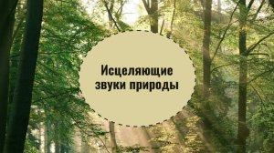 Лечебная музыка, звуки природы, пение птиц, избавление от стресса и негатива