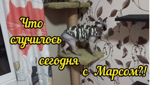 Что сегодня случилось сегодня с Марсом?!