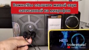 Как играет колонка которую я сделал из радиоприëмника